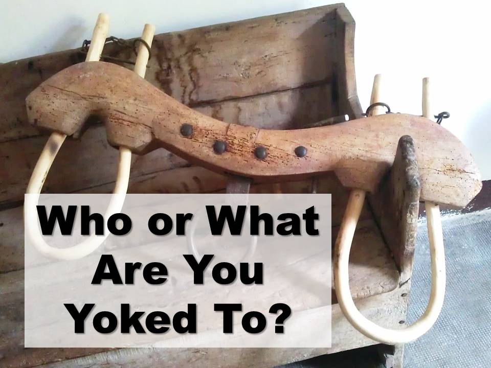 New Life Worship Center | Sermon Podcast 09-27-2020 Who or What Are You Yoked To
