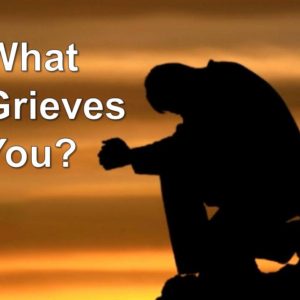What Grieves You