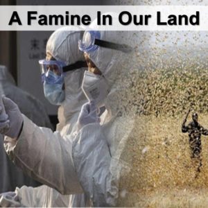 A Famine In Our Land