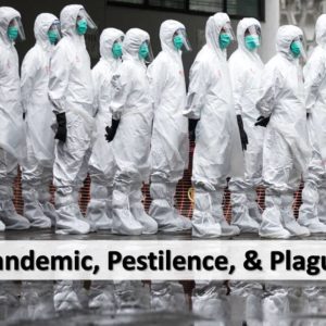 Pandemic, Pestilence, & Plague