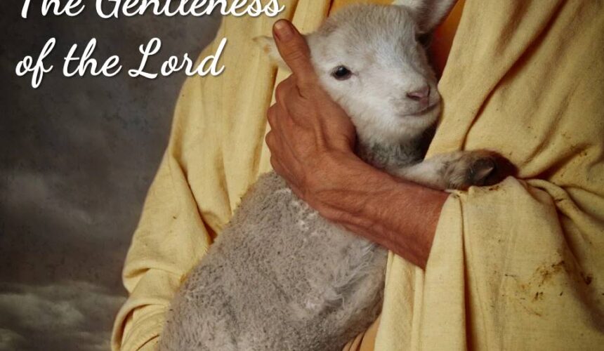 Gentleness of the Lord