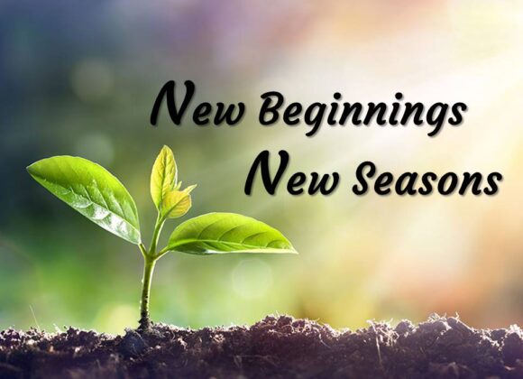 New Beginnings New Seasons